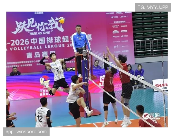 男排超级联赛季后赛呈现传统强队稳固、新锐力量冲击格局